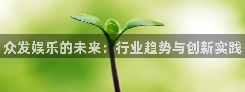 恒盛娱乐官网：众发娱乐的未来：行业趋势与创新实践