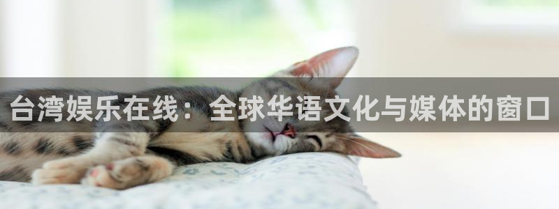 恒盛娱乐登录：台湾娱乐在线：全球华语文化与媒体的窗口