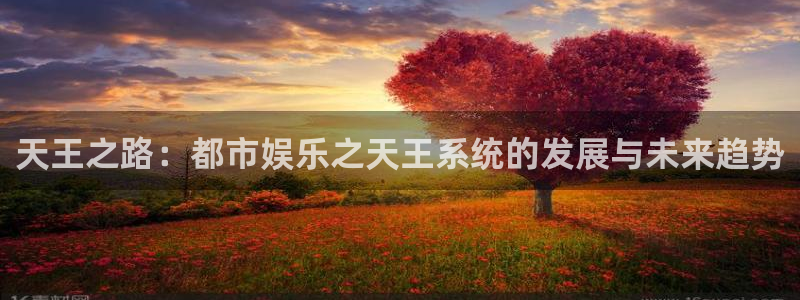 恒盛娱乐官网：天王之路：都市娱乐之天王系统的发展与未来趋势