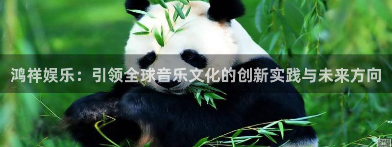 恒盛娱乐官网：鸿祥娱乐：引领全球音乐文化的创新实践与未来方向