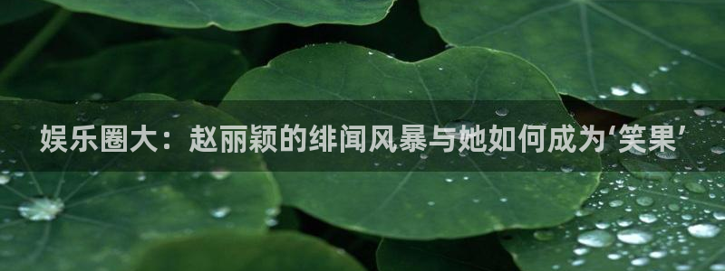 恒盛娱乐登陆：娱乐圈大：赵丽颖的绯闻风暴与她如何成为‘笑果’