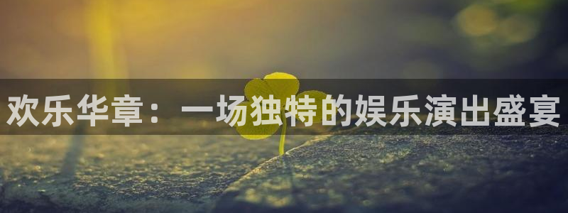恒盛娱乐登陆：欢乐华章：一场独特的娱乐演出盛宴