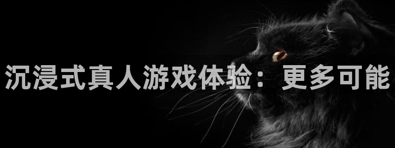 恒盛娱乐官网：沉浸式真人游戏体验：更多可能