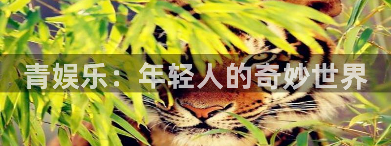 恒盛娱乐：青娱乐：年轻人的奇妙世界