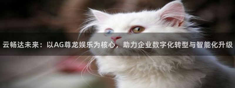 恒盛娱乐下载：云畅达未来：以AG尊龙娱乐为核心，助力企业数字化转型与智能化升级